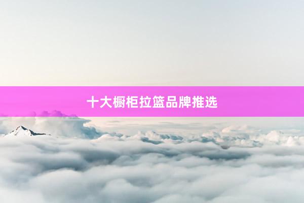 十大橱柜拉篮品牌推选